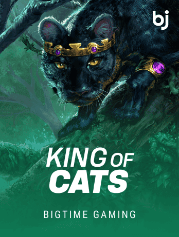 King of Catspng icon